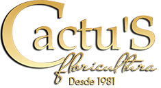 Cactus Floricultura